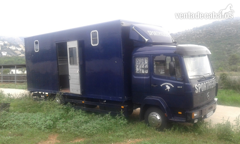 Transportes de caballos - camion 817 D para transportar caballos in 