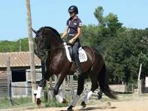 DORRI VRM PRE CAPA NEGRA