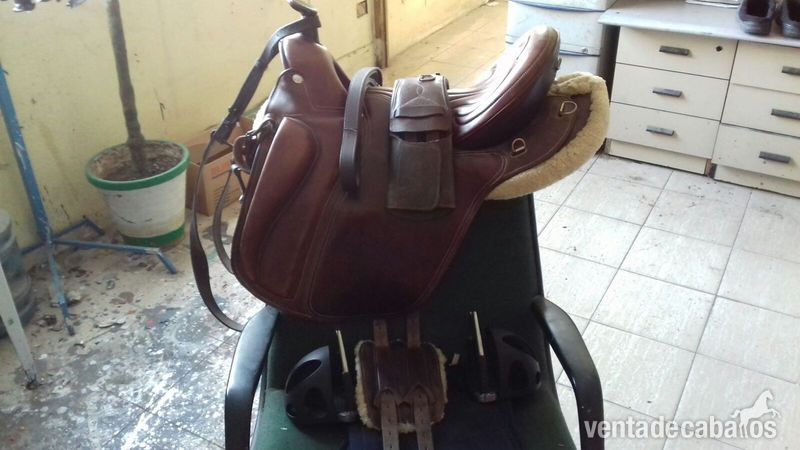 zaldi montaña mejor que nueva in 