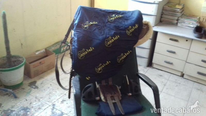  zaldi montaña mejor que nueva