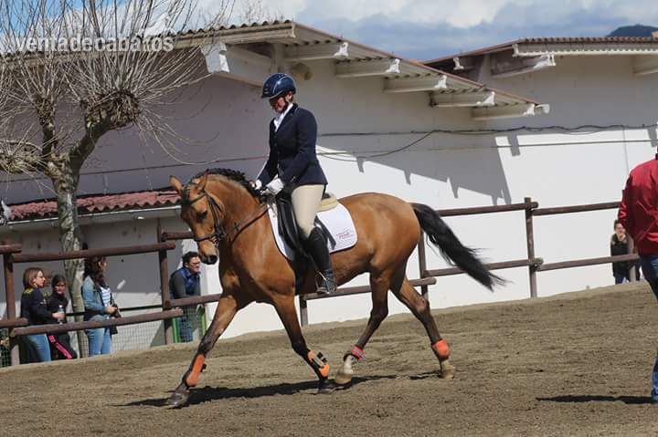 Cruzado