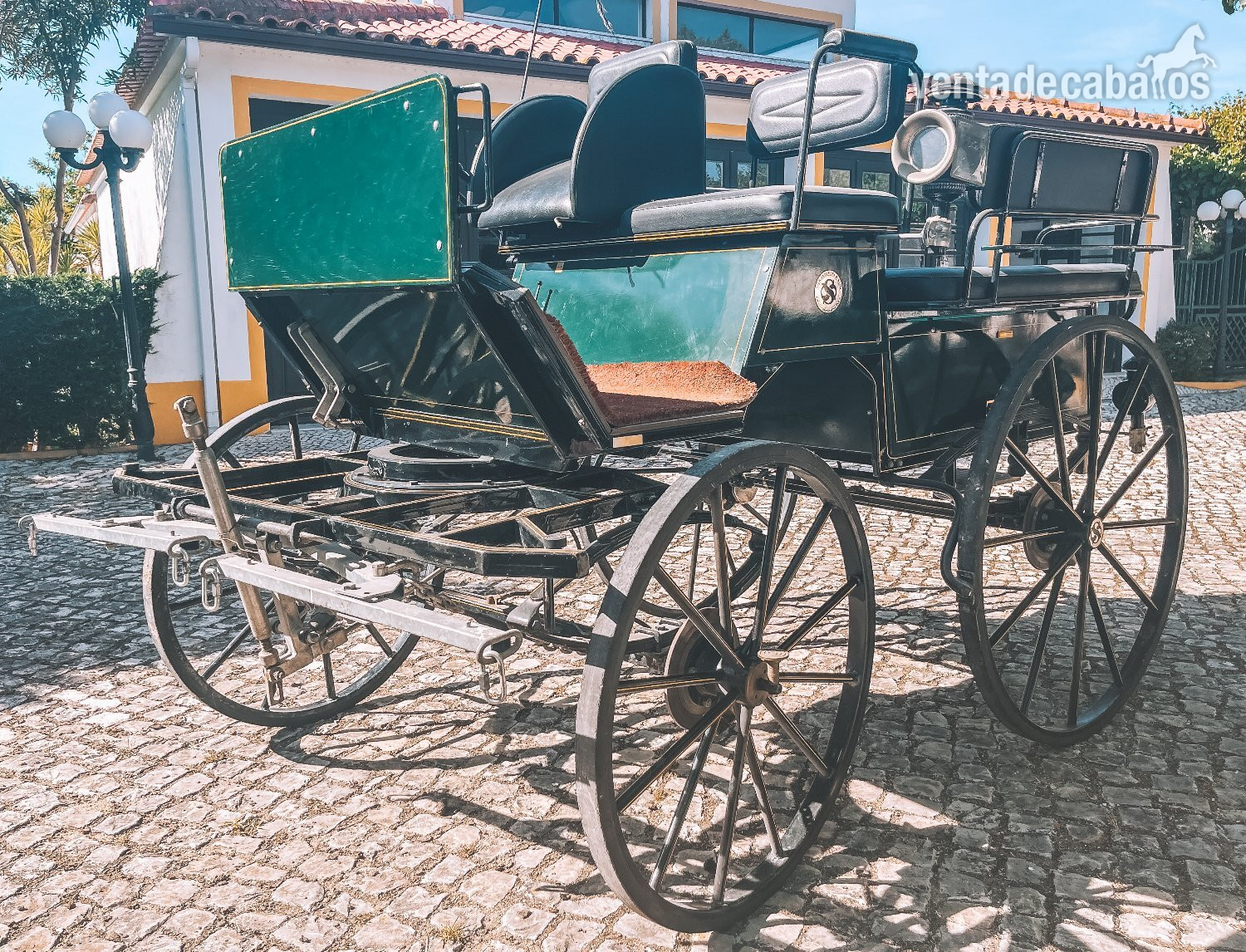 Carruaje de Sierakowski & Son - Carruajes y Enganches