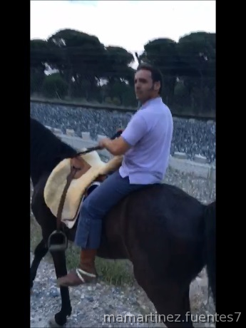 Se vende caballo PRE negro 6 años - Caballos Pura Raza Española (P.R.E.) PRE