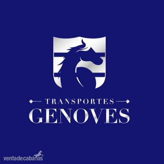 Transportista de equidos in 