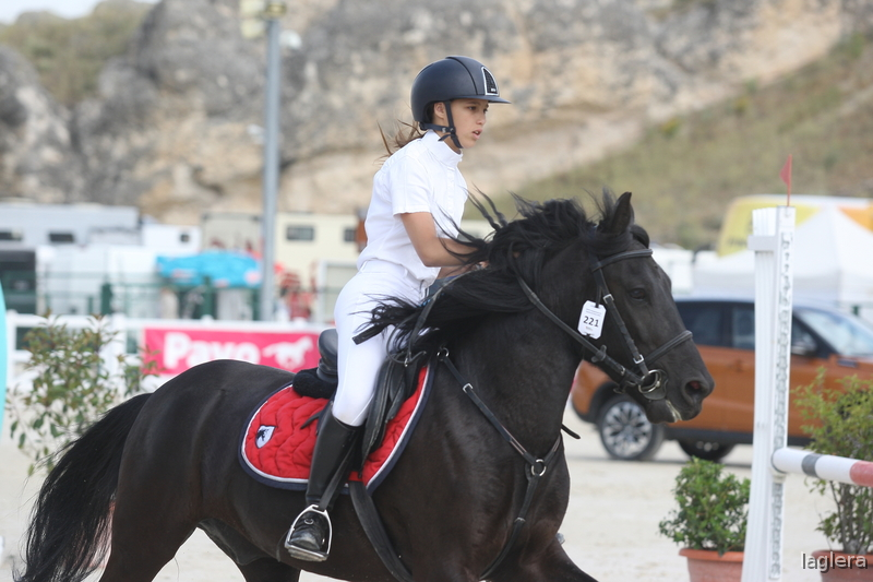 PONI C DE SALTO Y CONCURSO COMPLETO in 