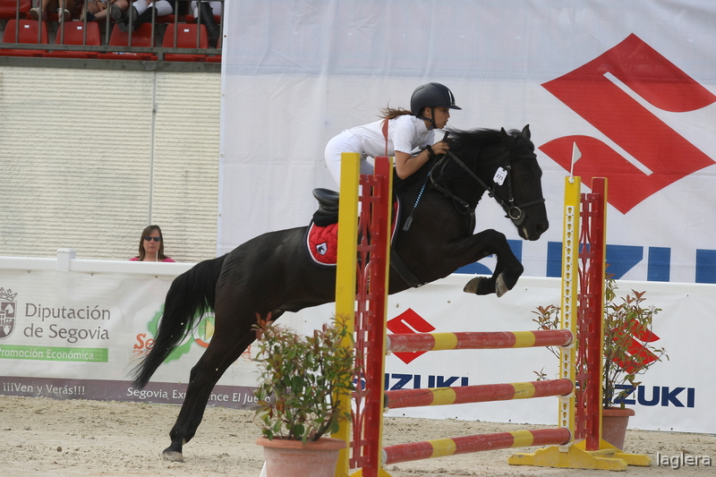 Poni de Competicion / Deporte