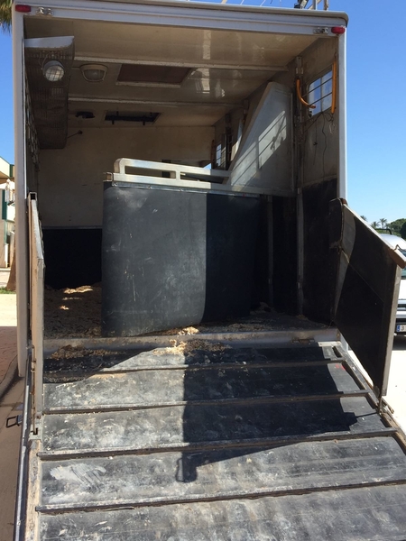 Camión de 5 caballos  - Transportes de caballos