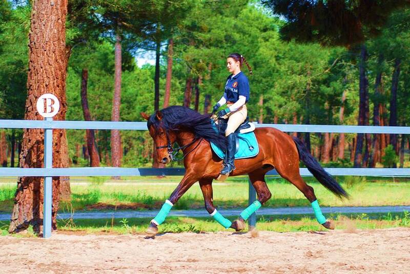 YAD KAI - 8yo TOP QUALITY PRE (Andalusian)