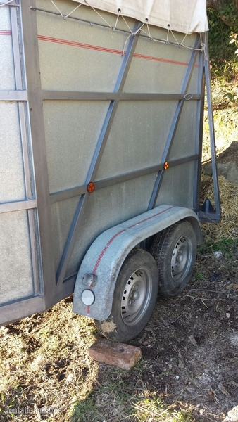  remolque o van dos caballos