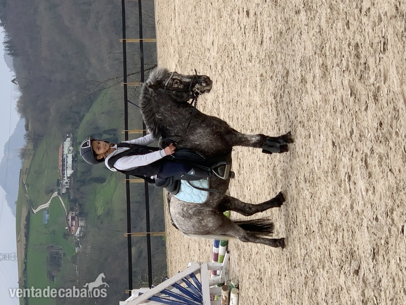 Venta o alquiler de poni A  in 