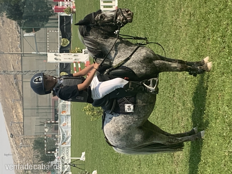 Poni 1 {TYPE}
