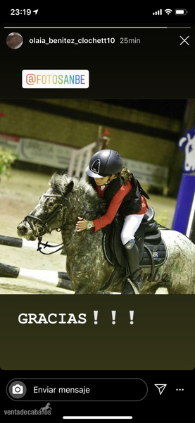 Venta o alquiler de poni A  - Poni 1