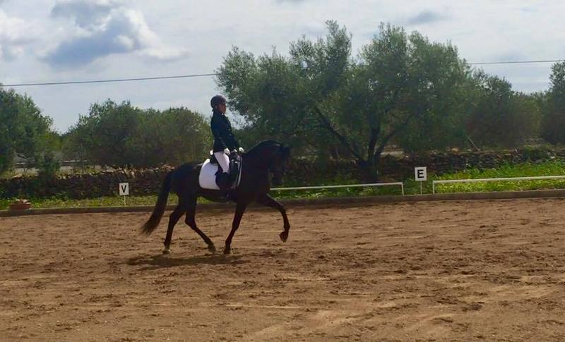 pre en competicion - Pura Raza Española