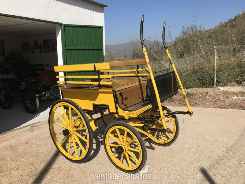 Coche caballo para niños. in 