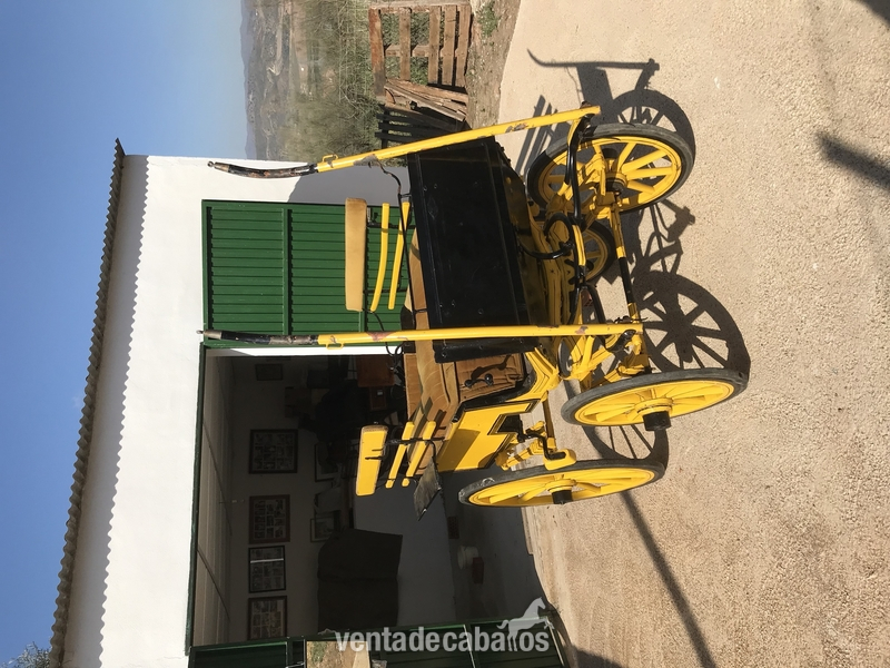 Coche caballo para niños.