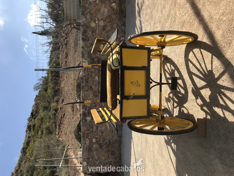  Coche caballo para niños.