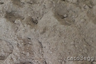 ARENA de carbonato para pistas  - Artículos de hípica