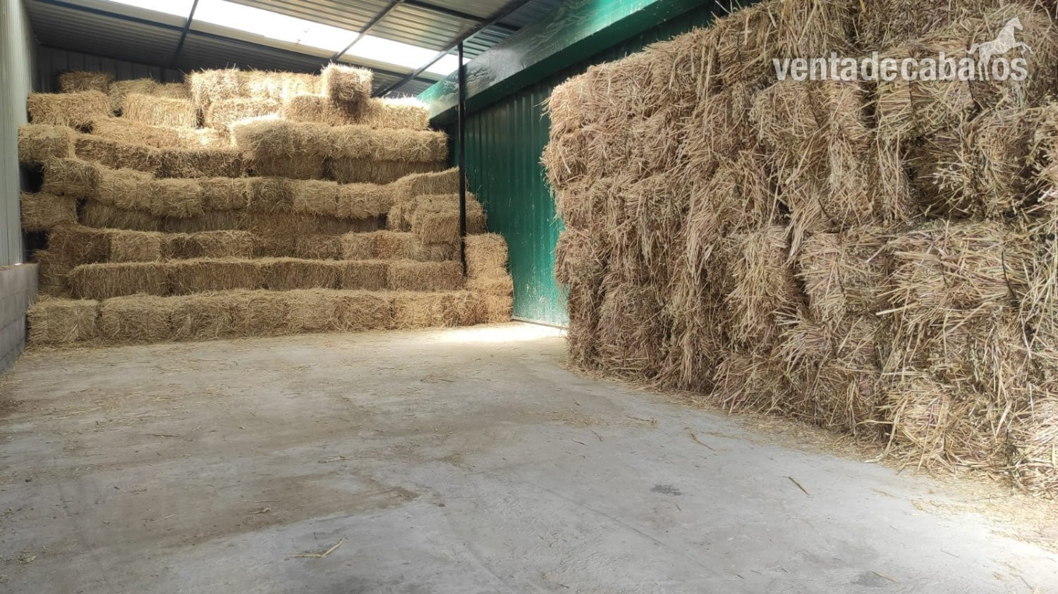 VENTA FINCA HIPICA El Viso De San Juan (Toledo)