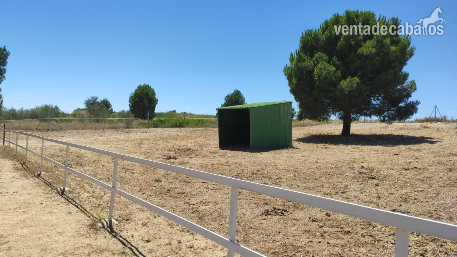 Finca ecuestre - VENTA FINCA HIPICA in El Viso De San Juan (Toledo)