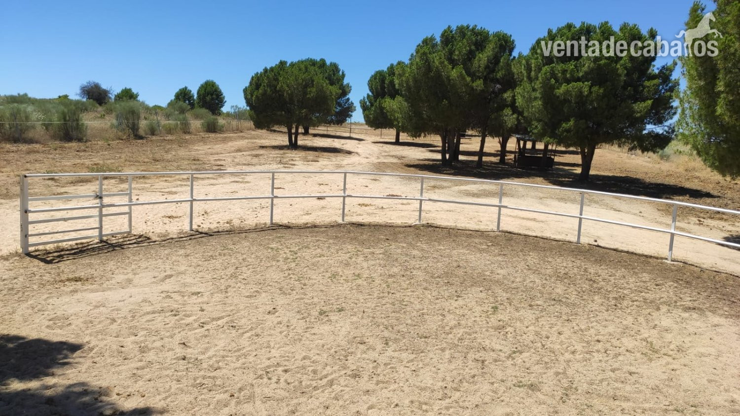 Finca ecuestre - VENTA FINCA HIPICA