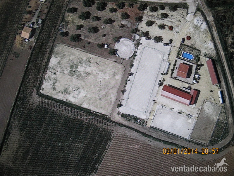 centro ecuestre en venta in Sevilla