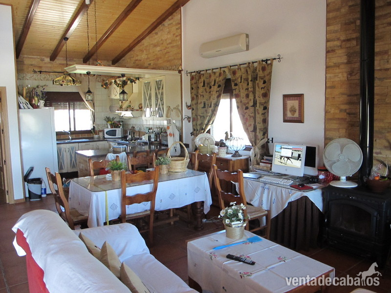 centro ecuestre en venta Sevilla