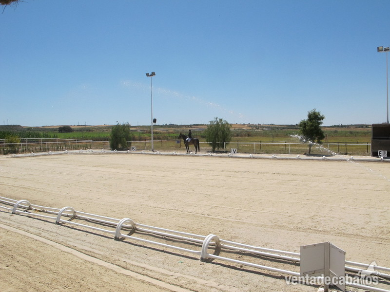 Finca ecuestre - centro ecuestre en venta in Sevilla
