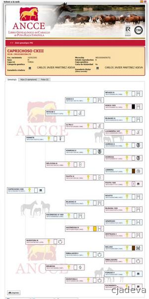 Macho PRE entero in 