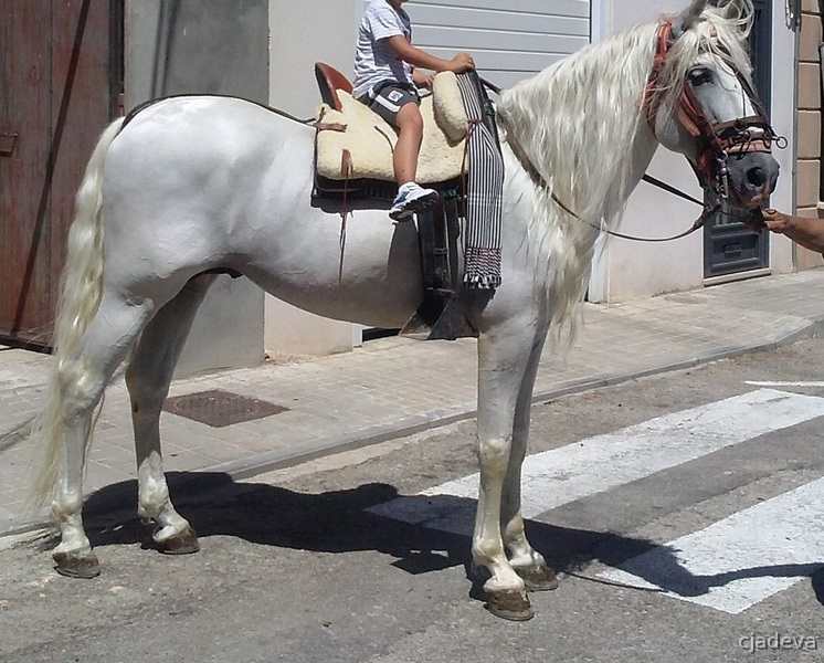 Pura Raza Española