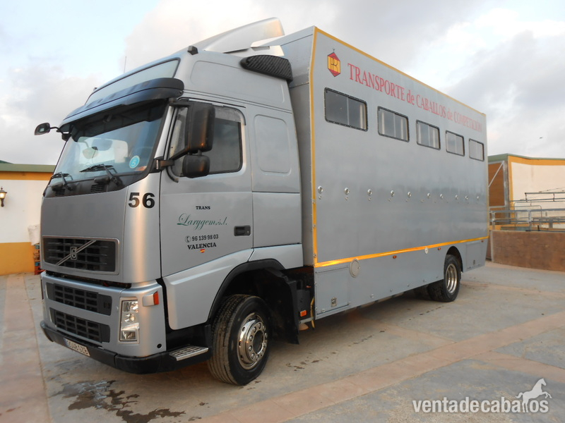  Camión Transporte Para Caballos Volvo FH42 B3