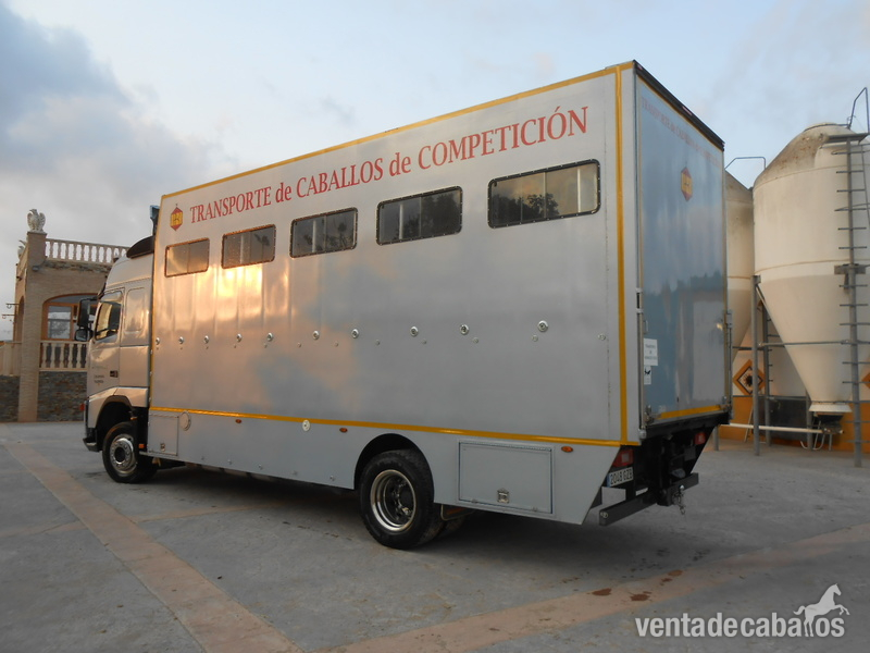 Camión Transporte Para Caballos Volvo FH42 B3 - Transportes de caballos in 