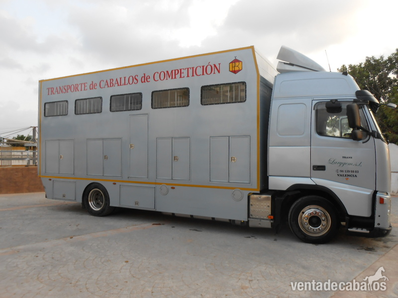Camión Transporte Para Caballos Volvo FH42 B3 - Transportes de caballos