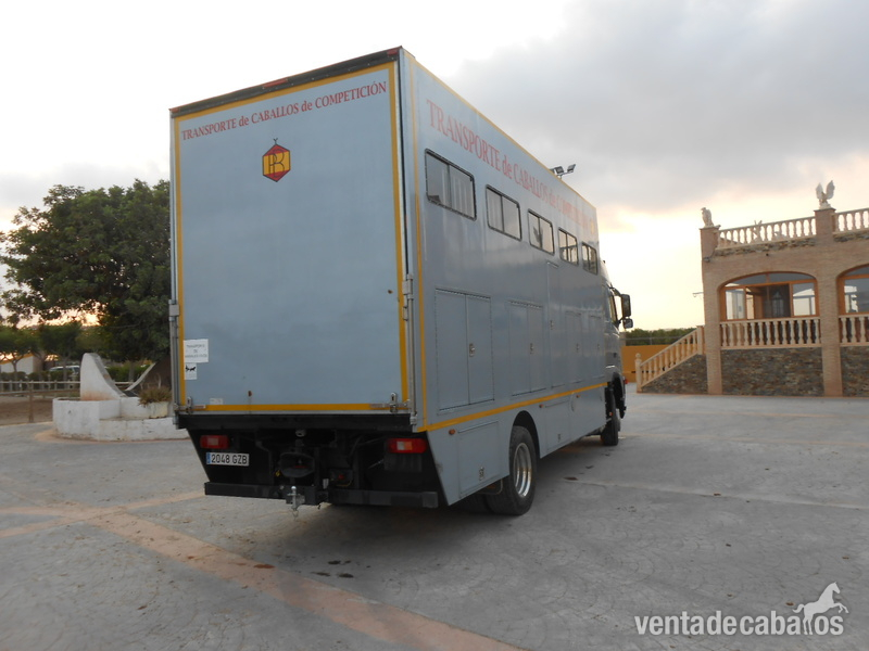 Transportes de caballos - Camión Transporte Para Caballos Volvo FH42 B3