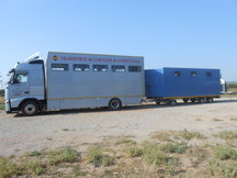 Camión Transporte Para Caballos Volvo FH42 B3