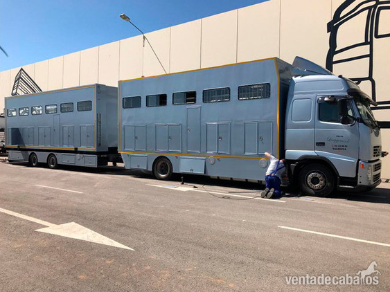 Camión Transporte Para Caballos Volvo FH42 B3 in 