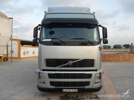 Camión Transporte Para Caballos Volvo FH42 B3