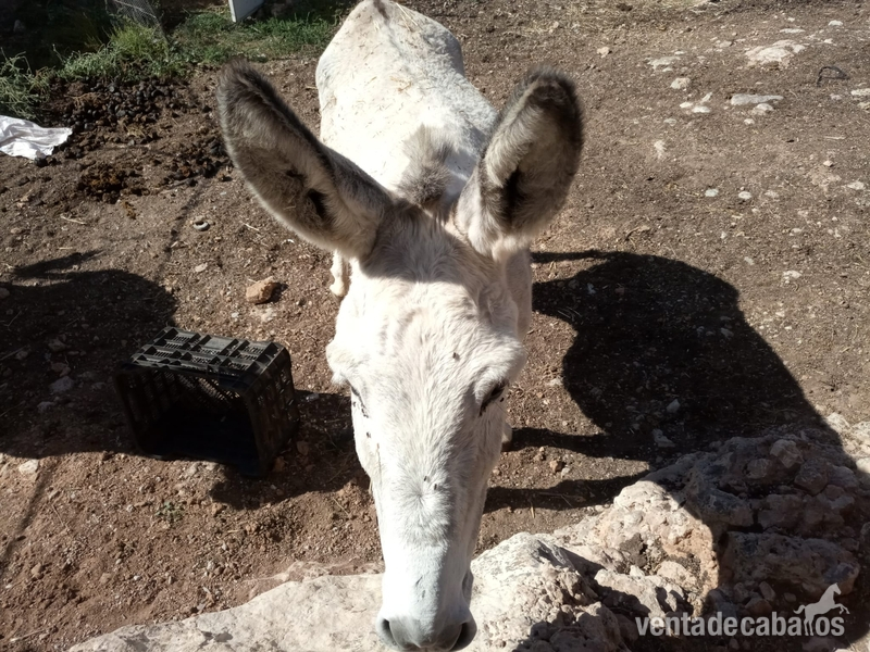 {TYPE} in 
