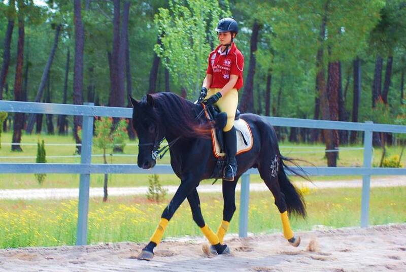 9YO SUPERKIND AND HANDSOME BLACK PRE, AVAILABLE FOR ANY RIDER, PIRO FREE, CLEAR XRAYS... - Caballos Pura Raza Española (P.R.E.)