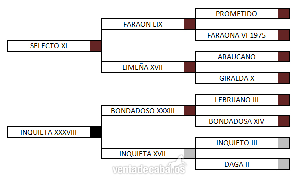  YEGUA PRE Y POTRA PRE BARATAS - Caballos Pura Raza Española (P.R.E.)