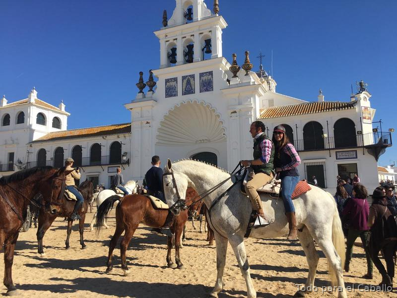  Caballo grande y bueno