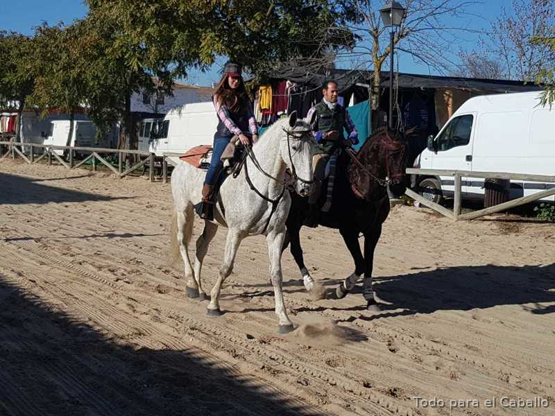 Caballo grande y bueno