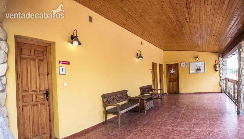 Centro hípica grande en activo  - Hípicas y establos en venta in Cenicero