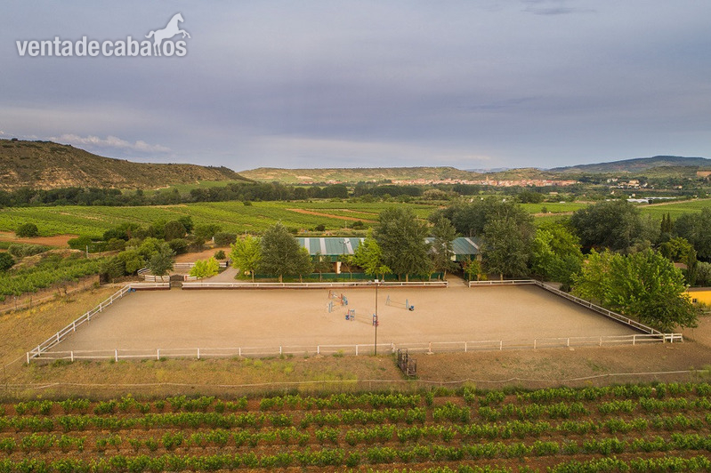 Centro hípica grande en activo  - Hípicas y establos en venta