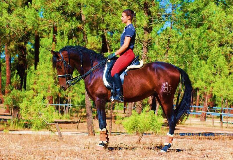 Caballos Pura Raza Española (P.R.E.) Pura Raza Española - TOP QUALITY YOUNGSTER-SUPER NICE CHARACTER-HUGE DRESSAGE PROSPECT