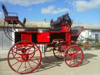 alquiler de coches de caballos  in 