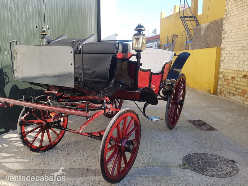 Caballos Pura Raza Española (P.R.E.) Pura Raza Española - alquiler de coches de caballos 