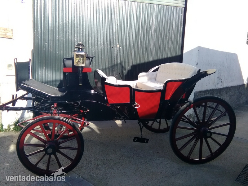 alquiler de coches de caballos  - Caballos Pura Raza Española (P.R.E.) Pura Raza Española