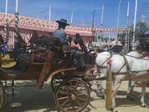 alquiler de coches de caballos 