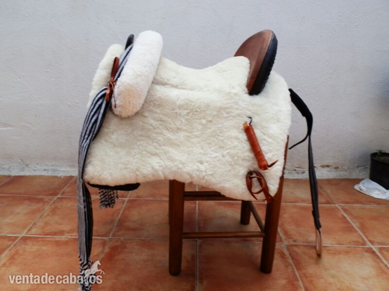 Silla mixta  - Sillas de montar in 