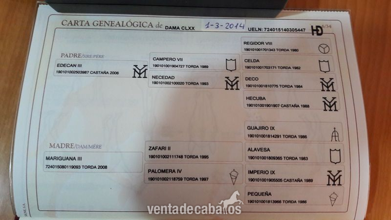 Pura Raza Española